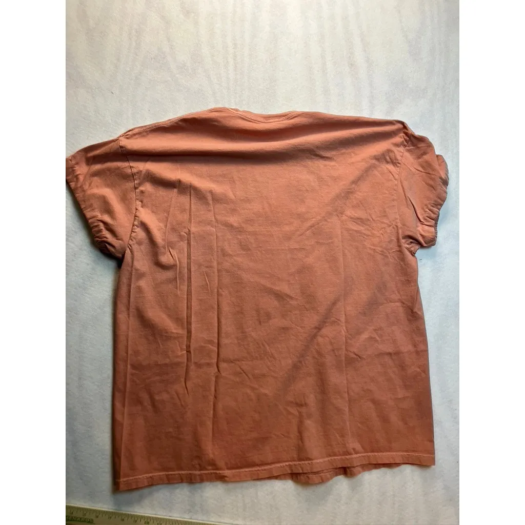 Comfort Colors Beauty and the Beast Graphic Tee Rose Chip Be Our Guest Plus  4XL - Image 8