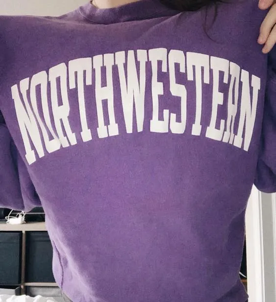 Champion Northwestern Crewneck - Image 3