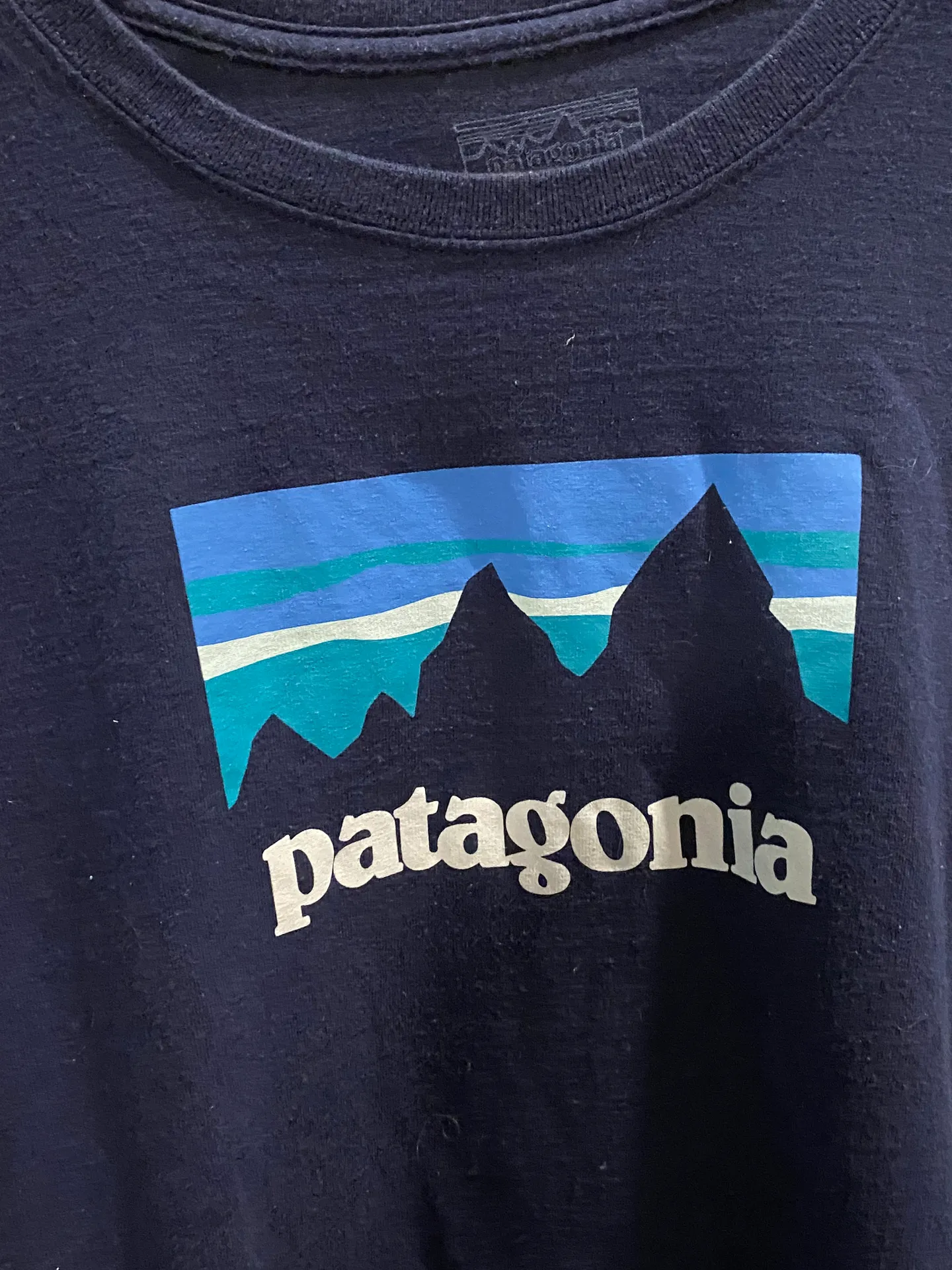 Patagonia Blue T-shirt - Image 3