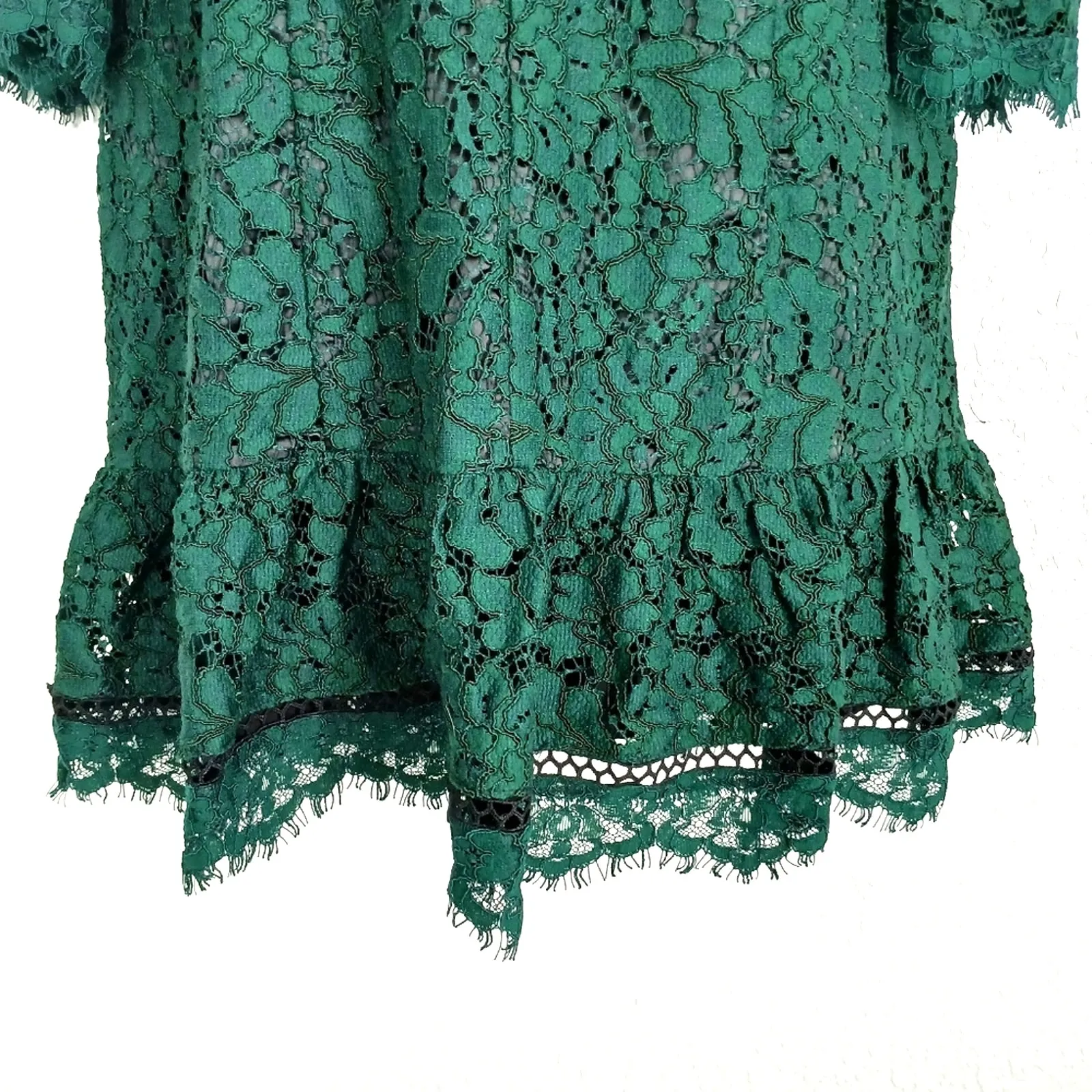 Eliza J Lace Bell Sleeve Fit & Flare Minidress Size 8P - Image 5
