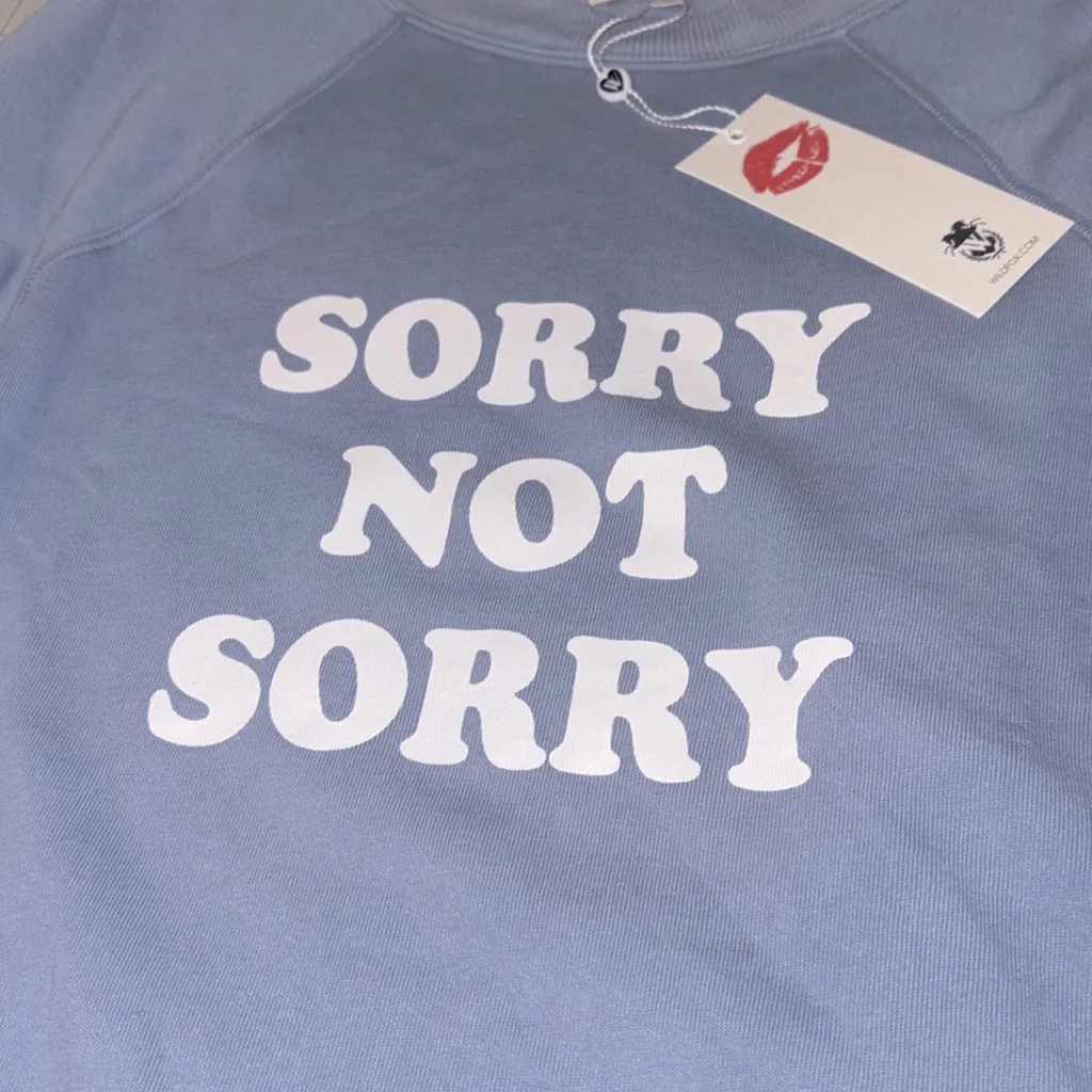 NEW Wildfox Sommers SORRY NOT SORRY Blue Sweatshirt #87989 - Image 6