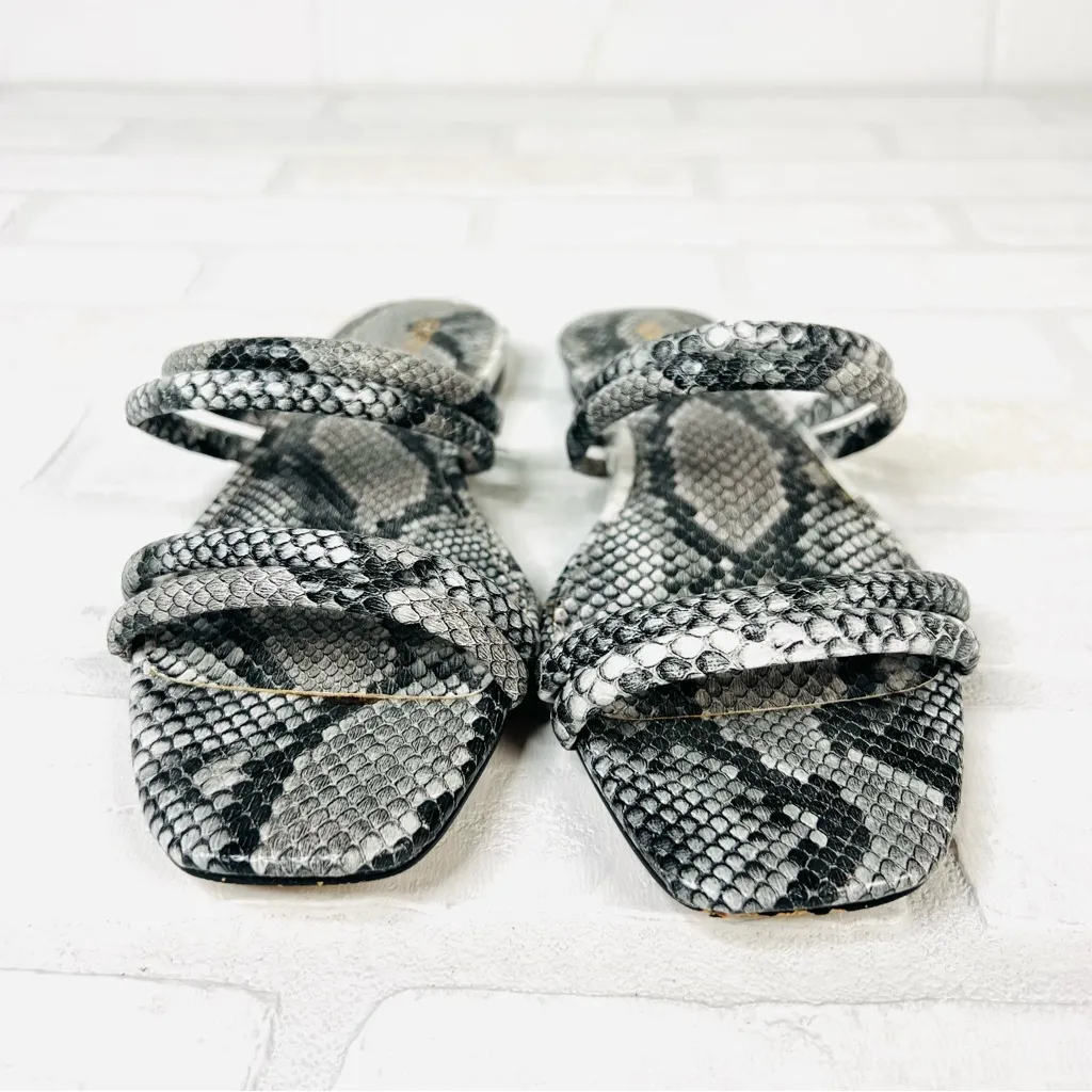 Express Sandals Snakeskin Women’s‎ Size 6 Flat Sandals, Grey/White - Image 5