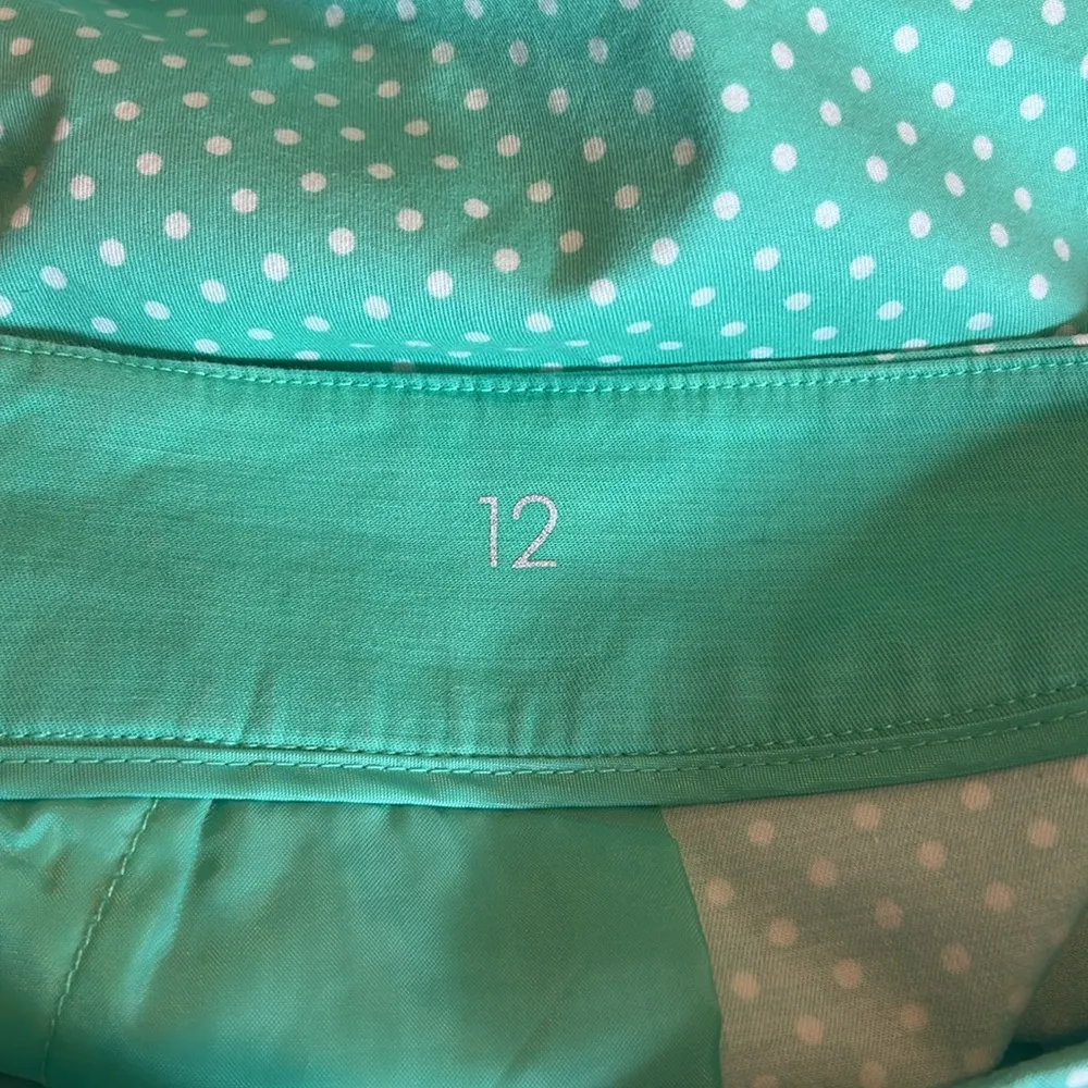 ANN TAYLOR polkadot Madison skirt - Image 6