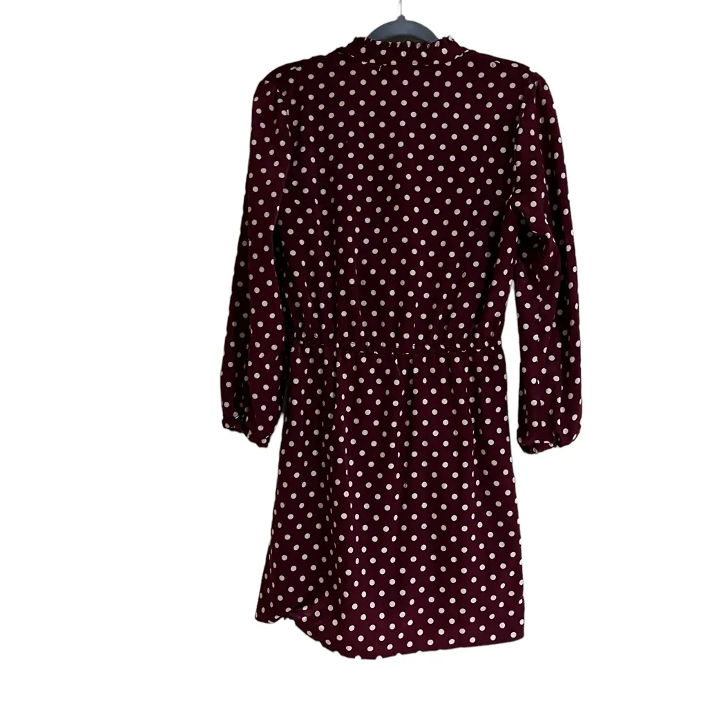 NWOT ZARA POLKA DOT SILKY / SATIN MINI DRESS BLOGGERS FAV - Image 12