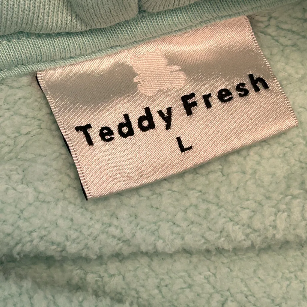 Teddy Fresh pastel colorblock softgirl skater grunge streetwear hoodie logo LG - Image 5