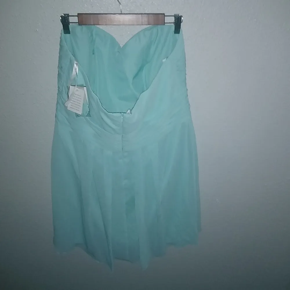 David's Bridal 16 Spa Strapless Crinkle Chiffon Formal Dress Plus in Fresh Aqua - Image 10