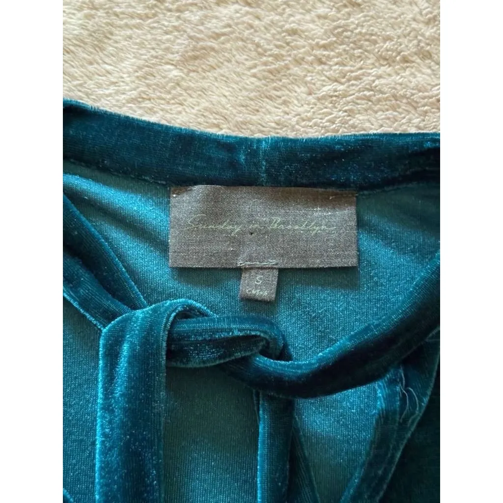 Sunday in Brooklyn Teal‎ Blue Velvet Tie-Neck Short Sleeve Top Anthropologie S - Image 4
