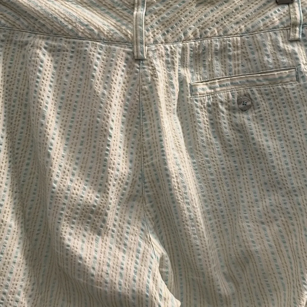 SearSeeker Teal Stripe Cropped Pants Size 4 - Image 5