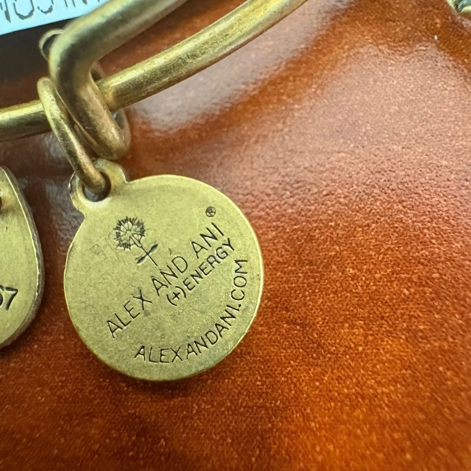 Alex‎ and Ani Queen Crown Rafaelian Gold Expandable Charm Bangle Bracelet - Image 7