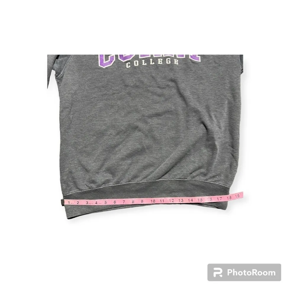 Curry College sweatshirt Gray Size M - Image 5