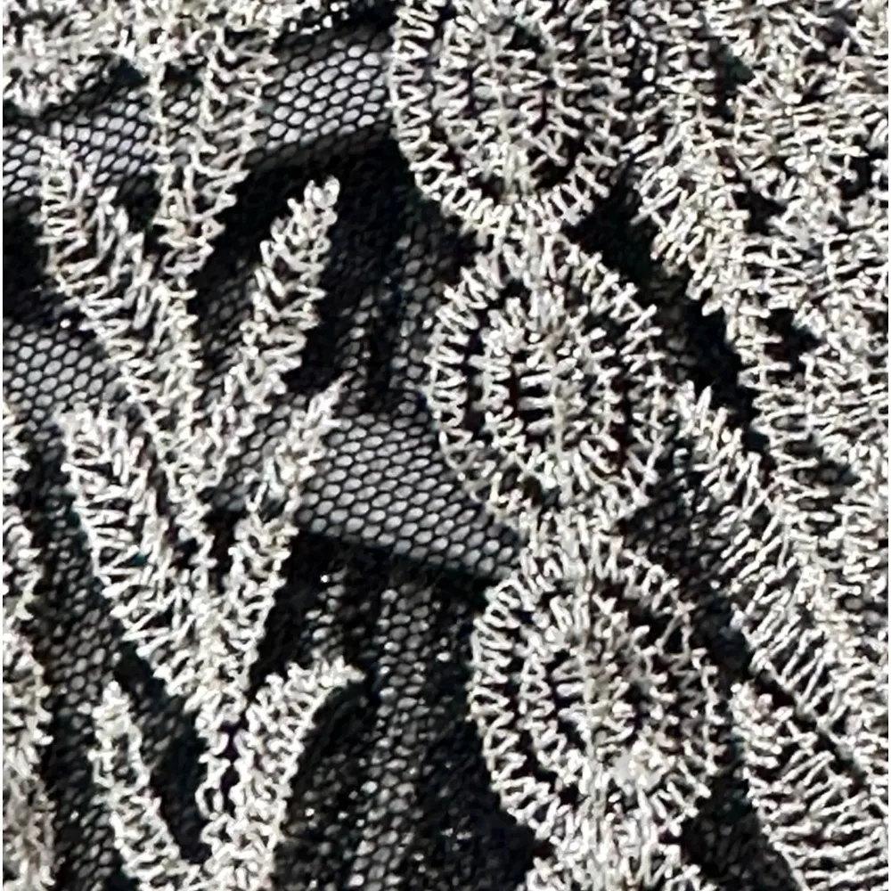 Ultra Pink Sheer Black Top With Gold  Overlay Snall - Image 2