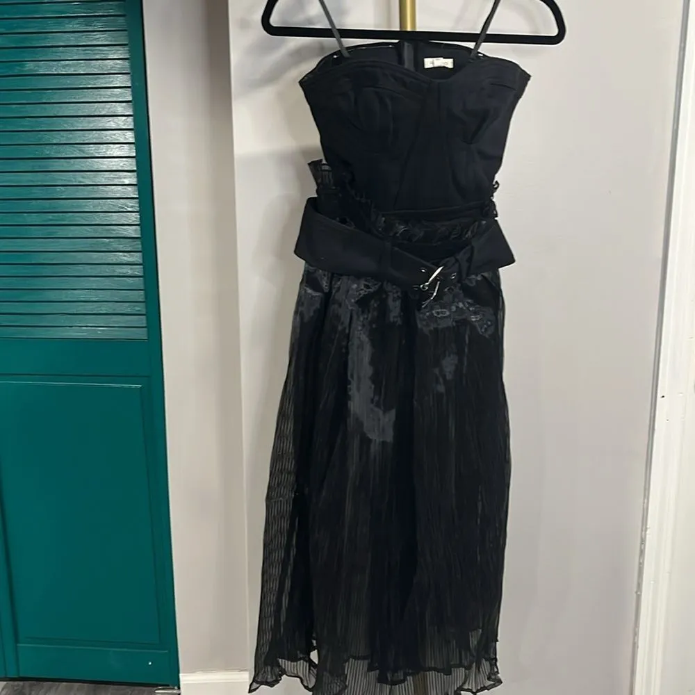 Anthropologie NWT Pilcro Strapless Bodysuit & Sheer Skirt-  S - Image 5