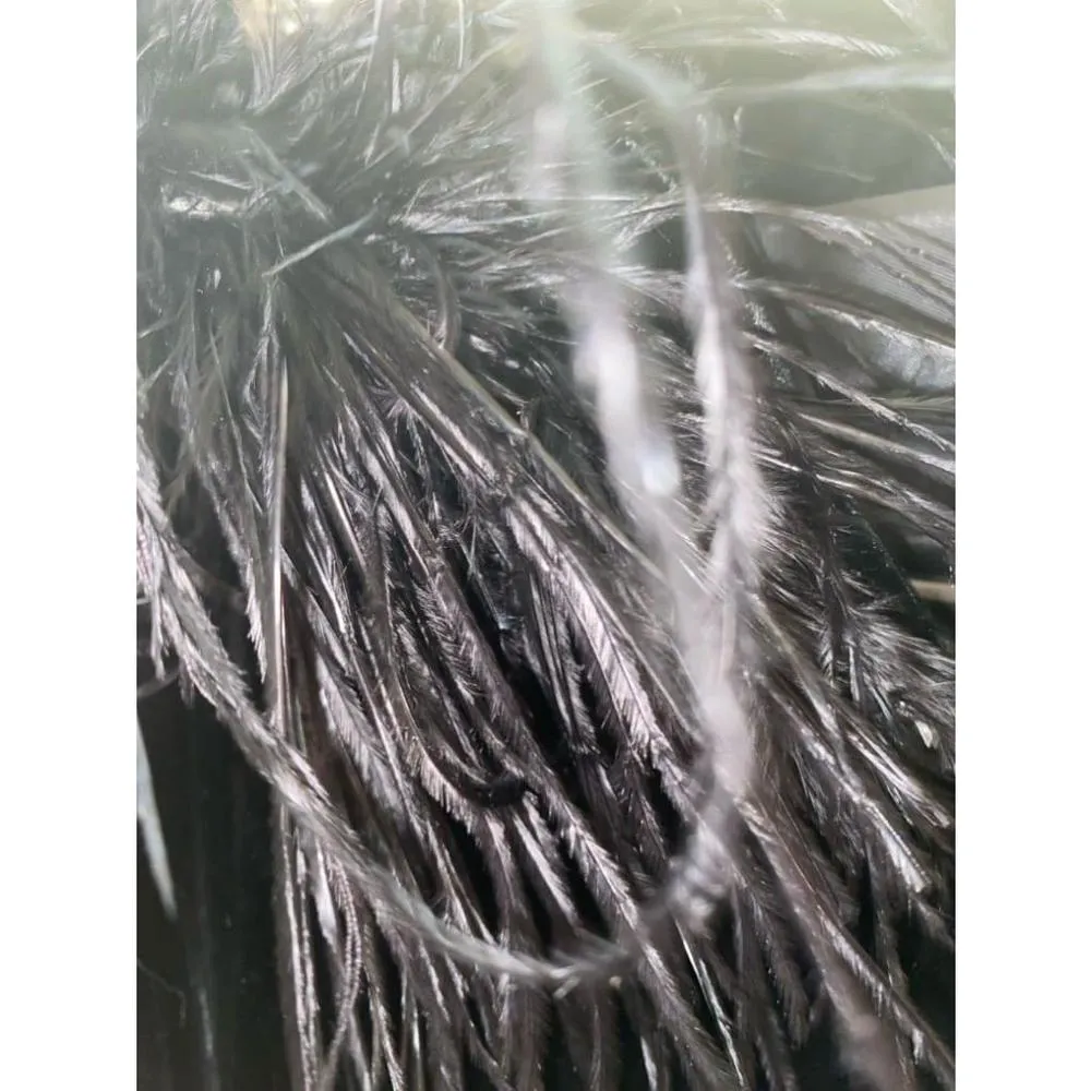 Women's Black Velvet opera Cape with Ostrich Feather Trim on hood - Image 3