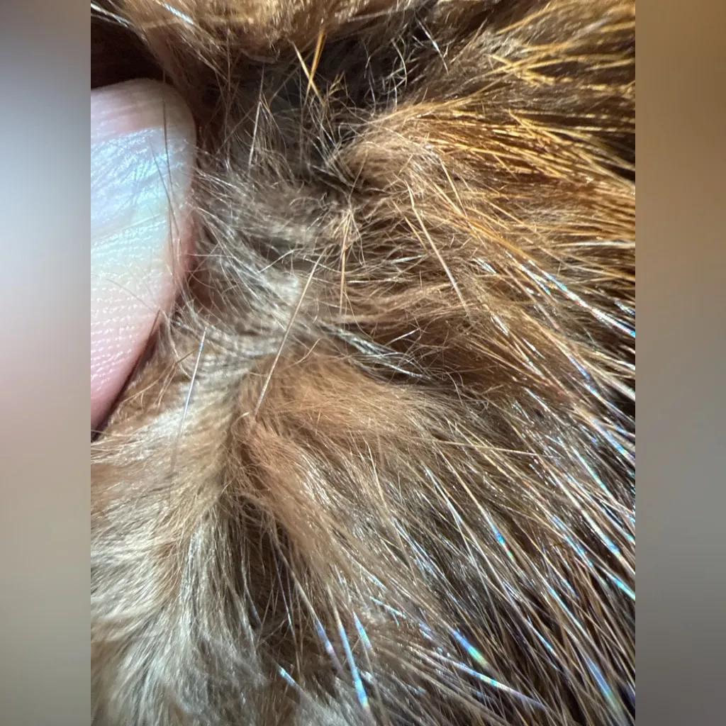 Vintage 1950s Genuine Mink Fur Headband Mid Century Glamour Hair Accessory Brown - Image 6