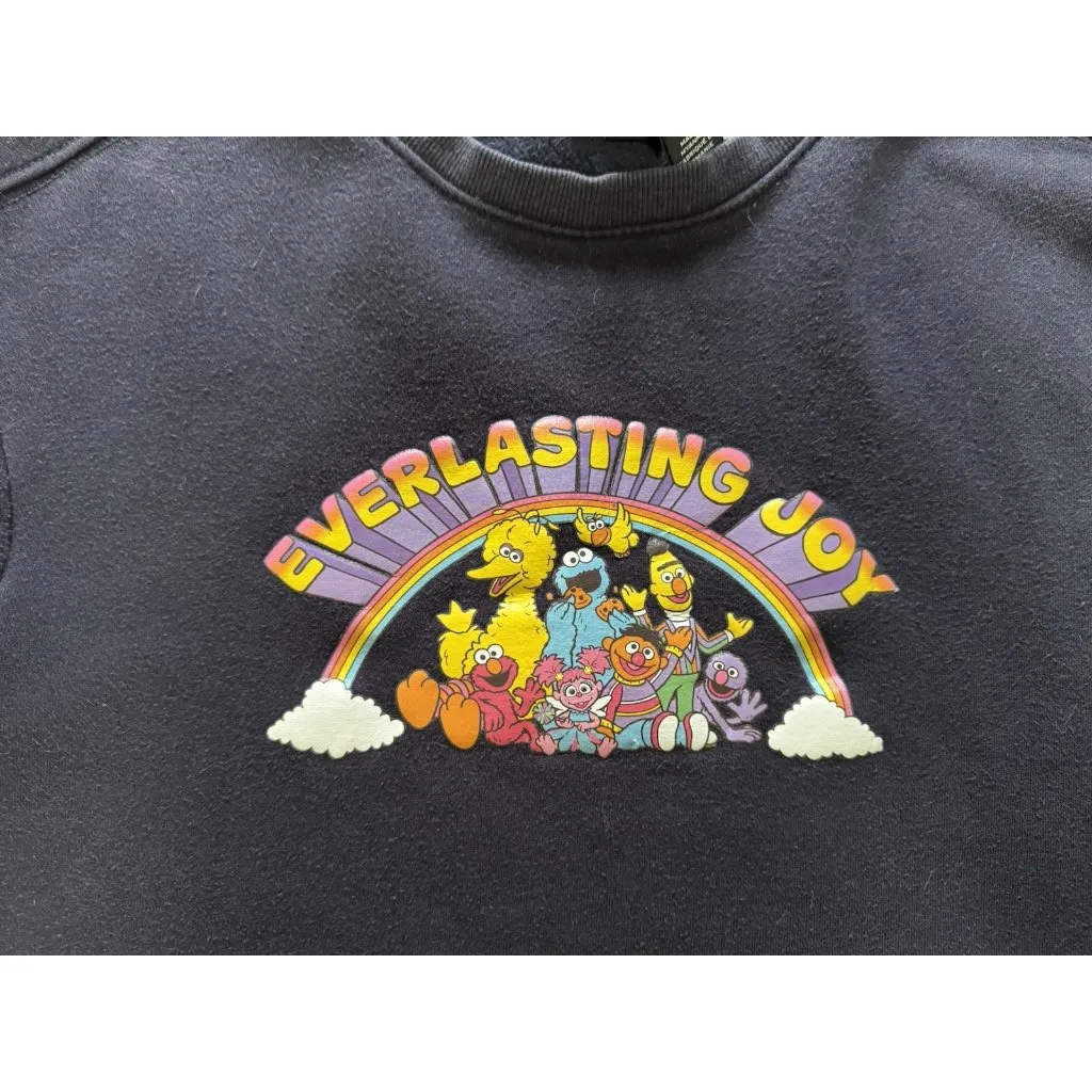 H & M Sesame Street Women Size Small Everlasting Joy Graphic Sweatshirt Cartoon - Image 8