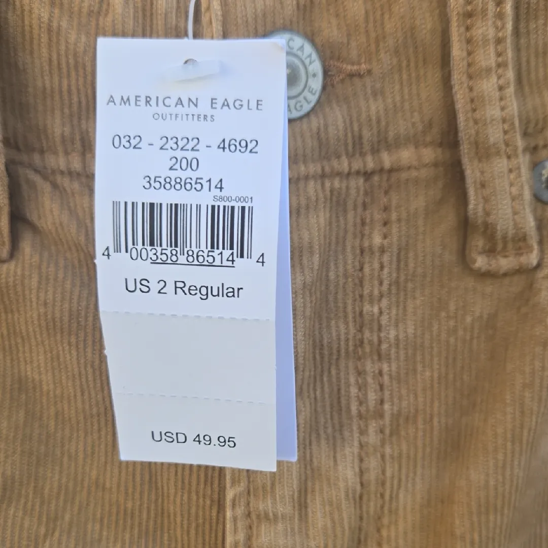American Eagle Outfitters Tan Corduroy Pants - Image 2