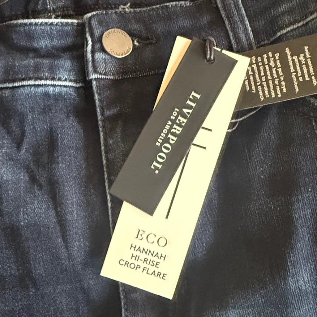 NWT Liverpool  Hannah Crop Flare with Crafty Seaming Hi-Rise Stretch Denim 12/31 - Image 8
