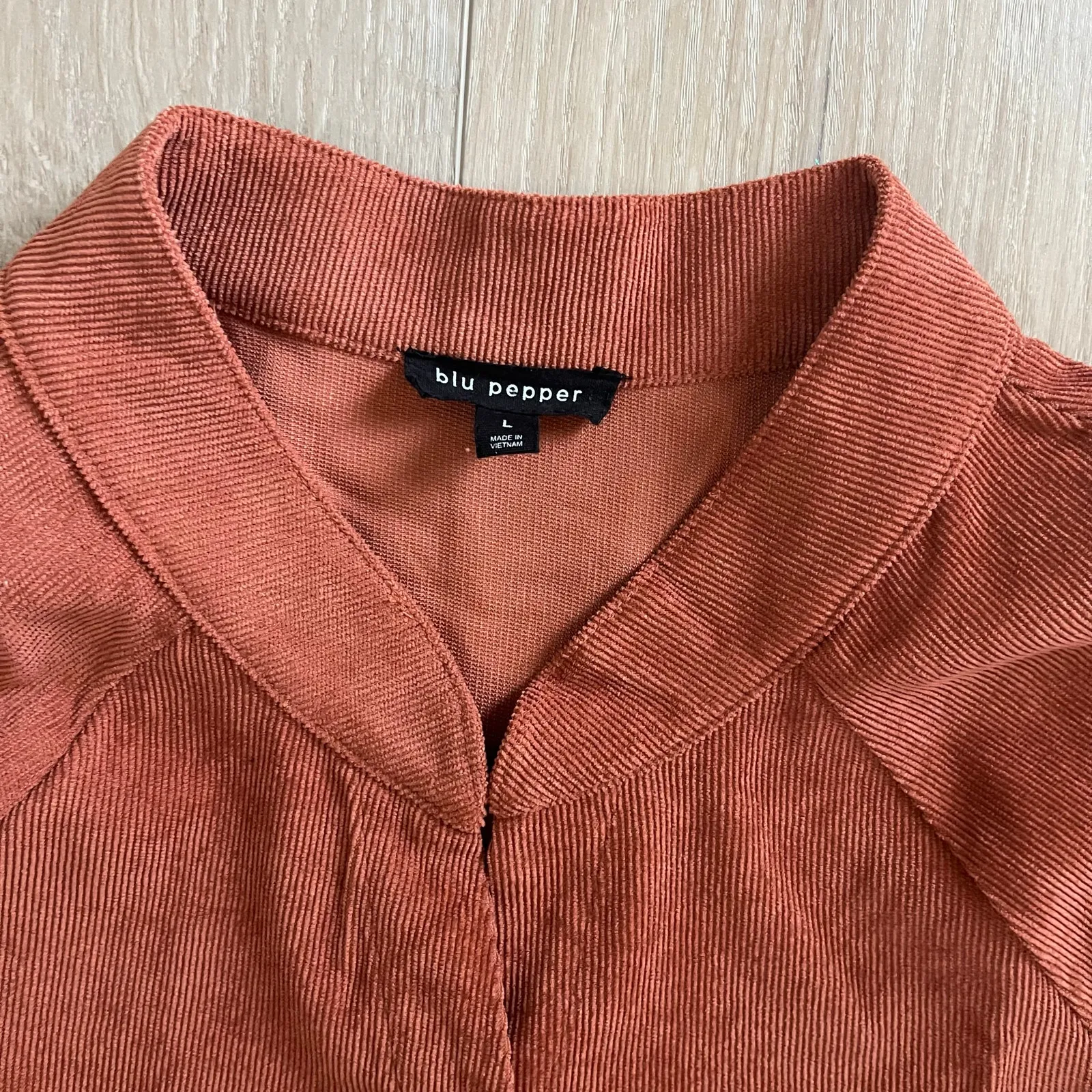 Blu Pepper Women’s Terracotta Corduroy Button Down Size L - Image 2