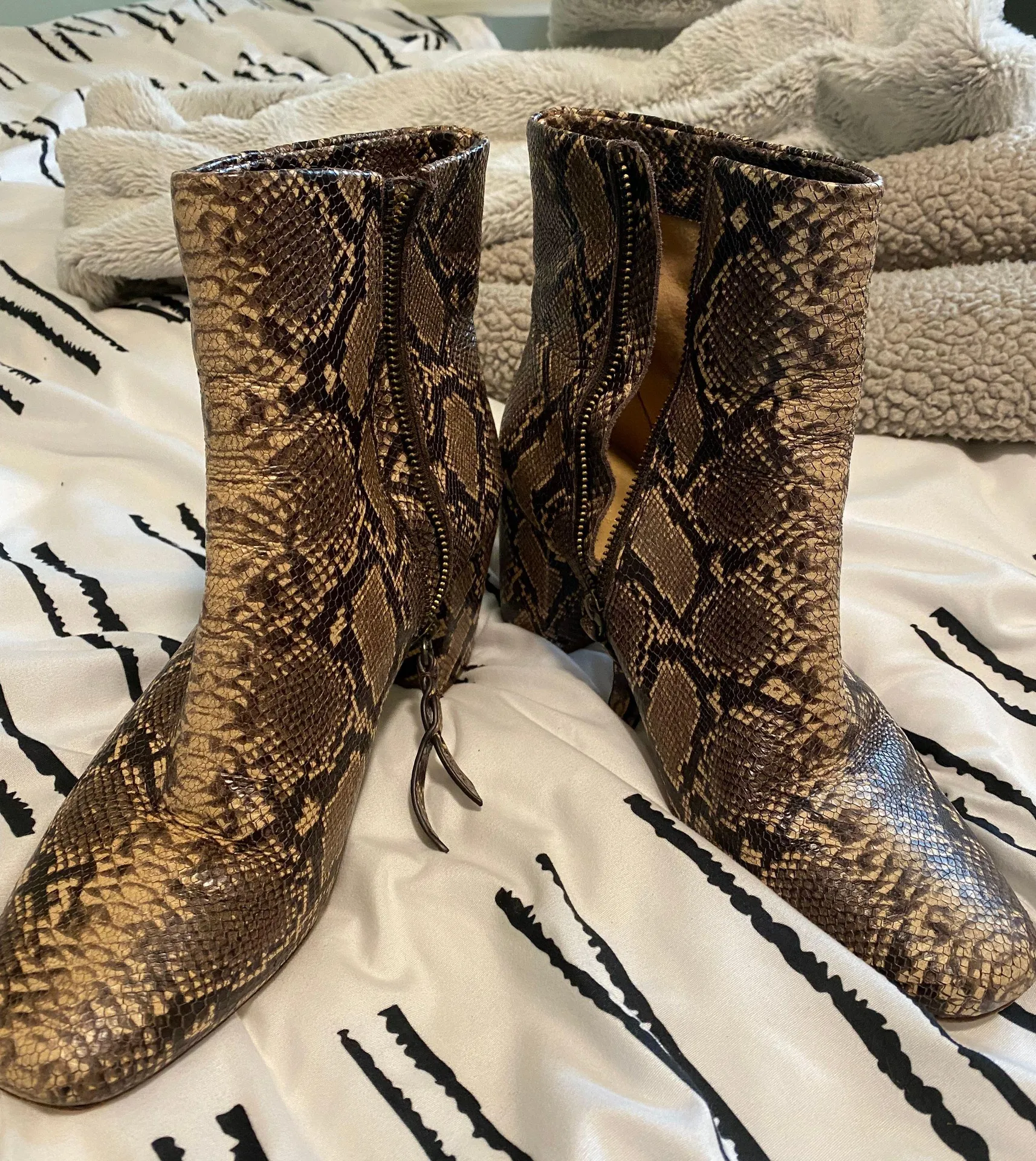 Splendid Snakeskin Booties - Image 3