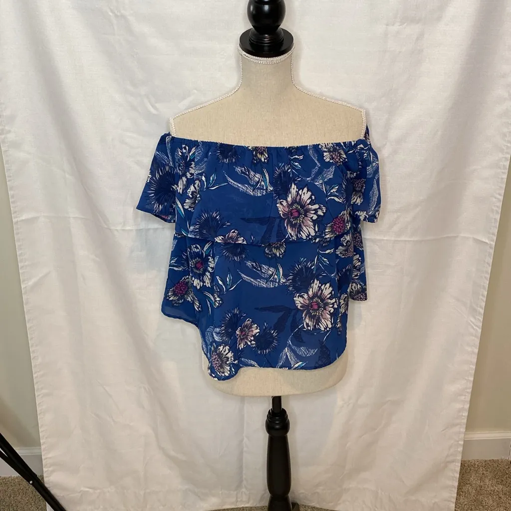 25 Japna Cold Shoulder Floral Blue Pink Ruffles Cottagecore Top Small - Image 3