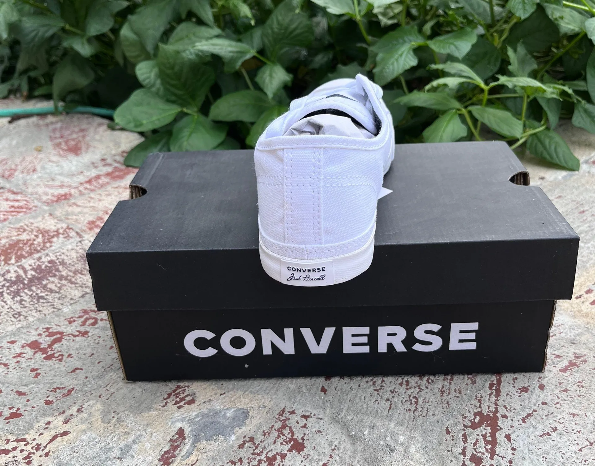 Jack Purcell White Lows - Image 3