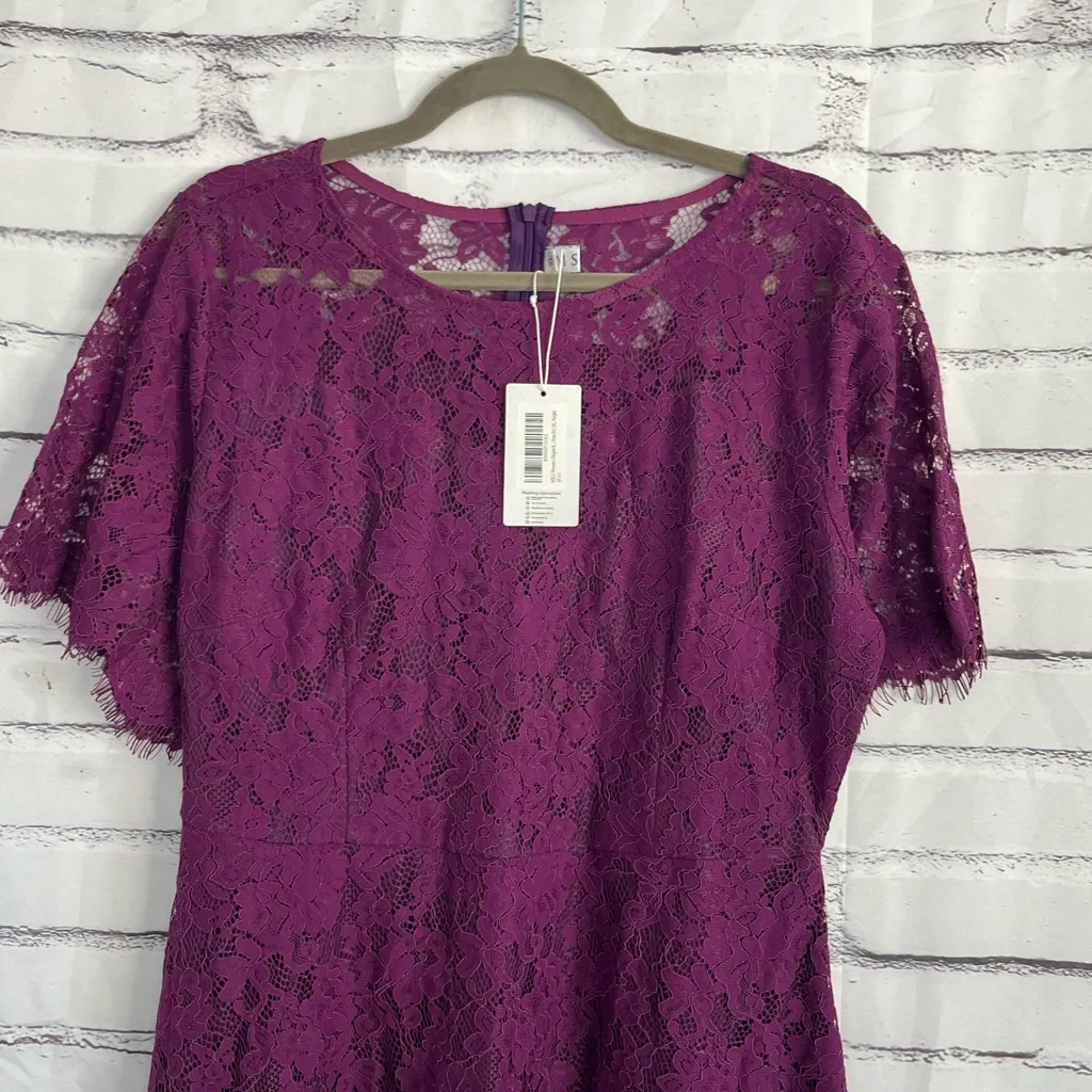 MSLG Royal Purple Lace Midi Dress Short Sleeve Scalloped Hem NWT Women’s Medium - Image 5