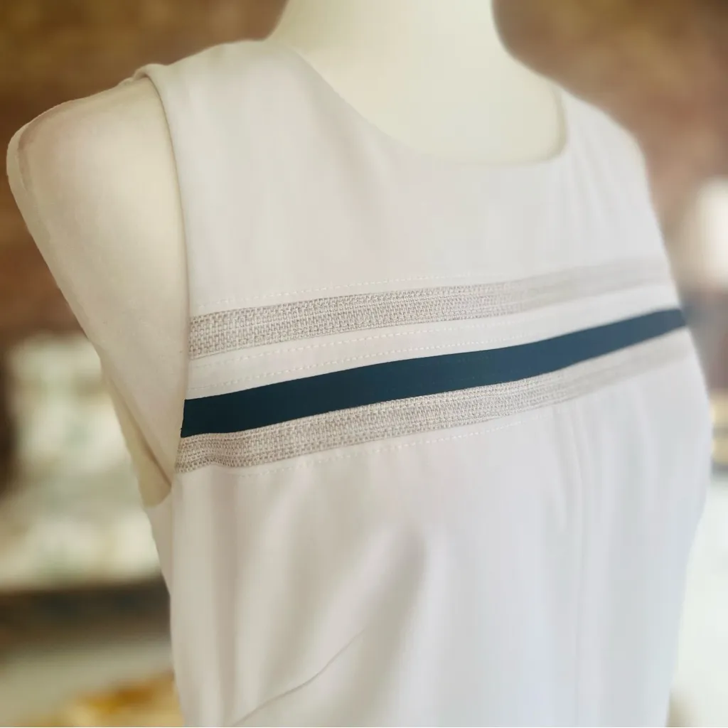 WHBM Dress Sheath Sleeveless Mini Striped 6 Work Job Cocktail Lunch Brunch Mod - Image 13