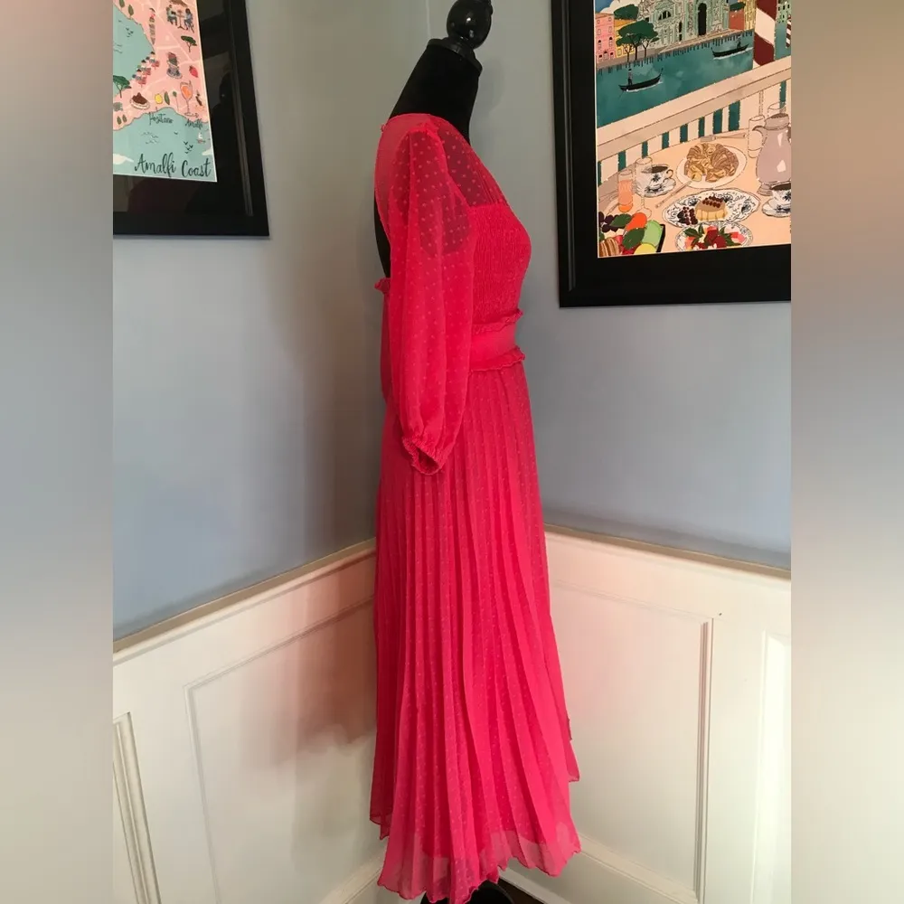 Hot Pink Fuchsia Pleated Chiffon Dotted Swiss Midi Dress Sz 6 - Image 3