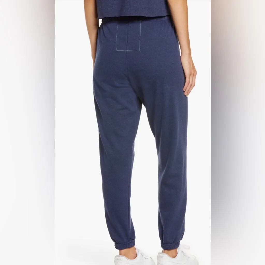 Aviator Nation Stripe Sweatpants, Navy Stripe, Size XS - Image 2