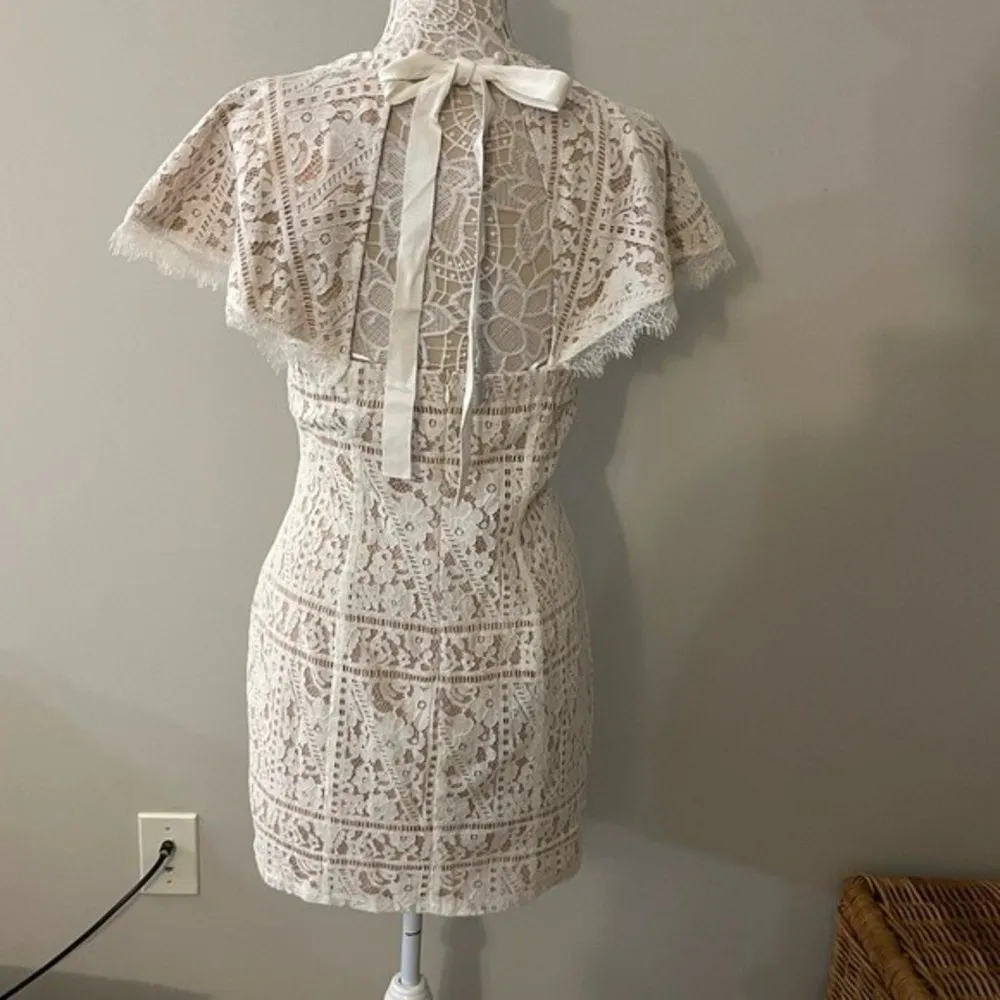 Endless Rose Lace Open Back Dress - Image 4