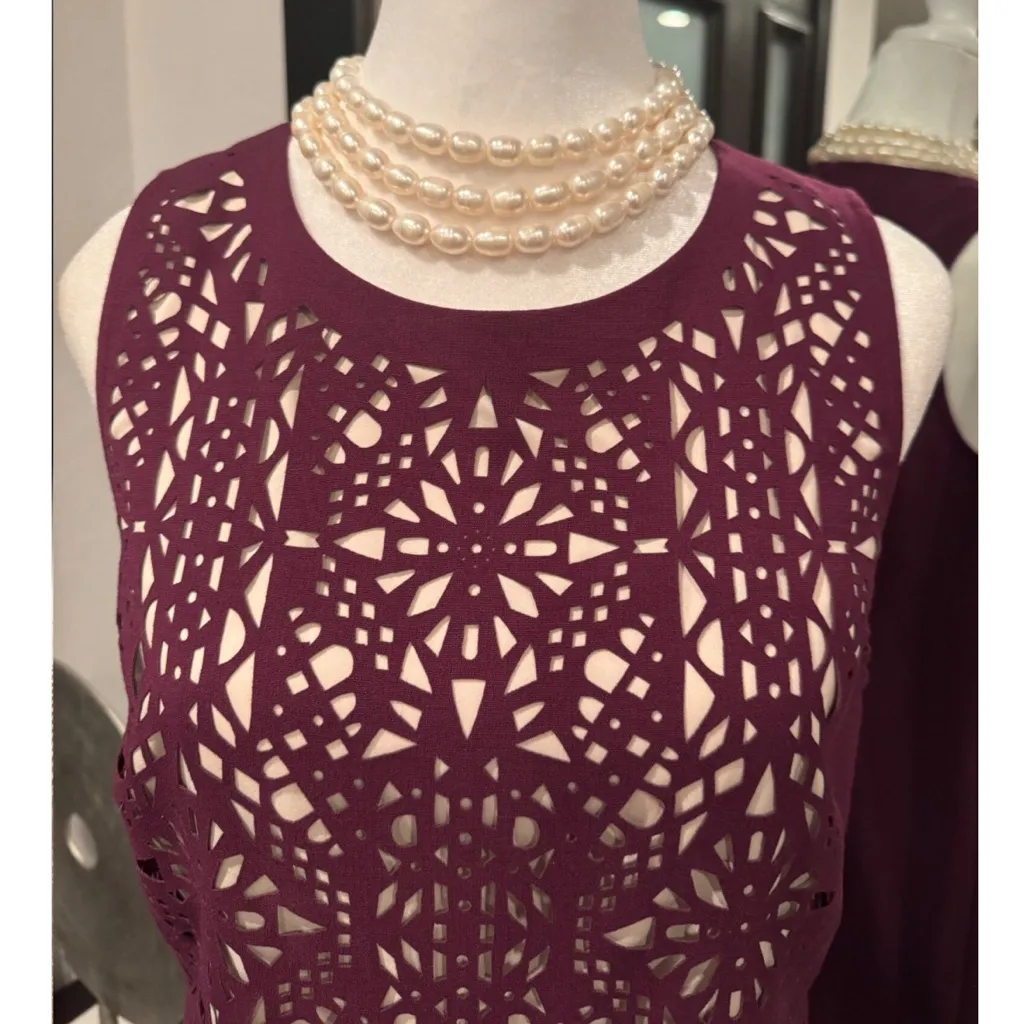 Catherine Malandrino Deep Plum Cabernet Purple Lace Laser Cut Pencil Dress sz 2 - Image 3