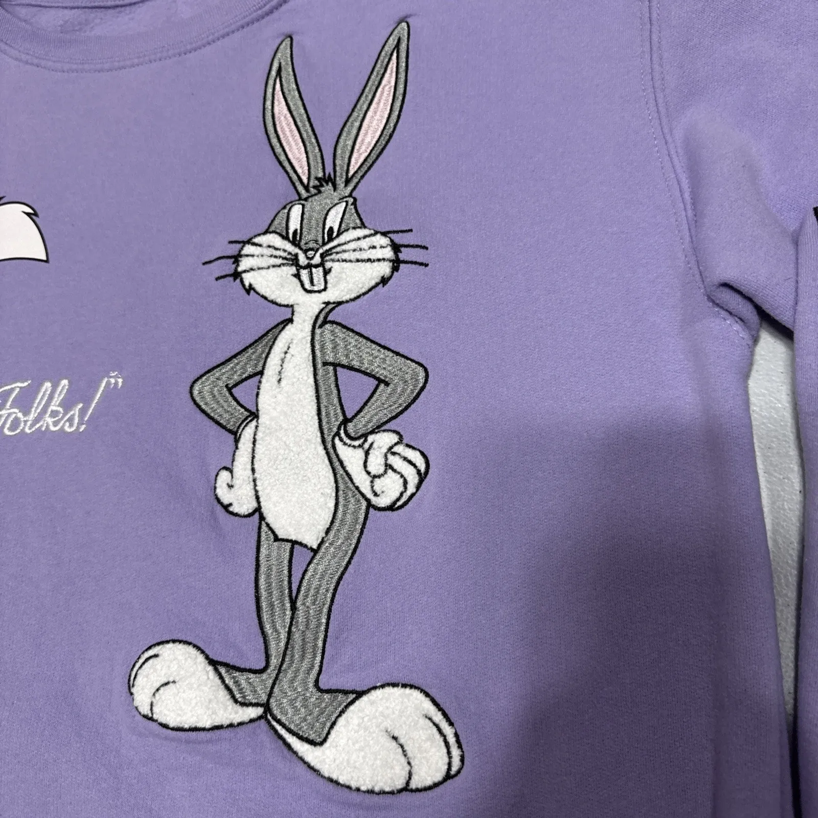 Looney Tunes Womens Juniors L Sweatshirt Embroidered That's All Folks Pullover - Image 5