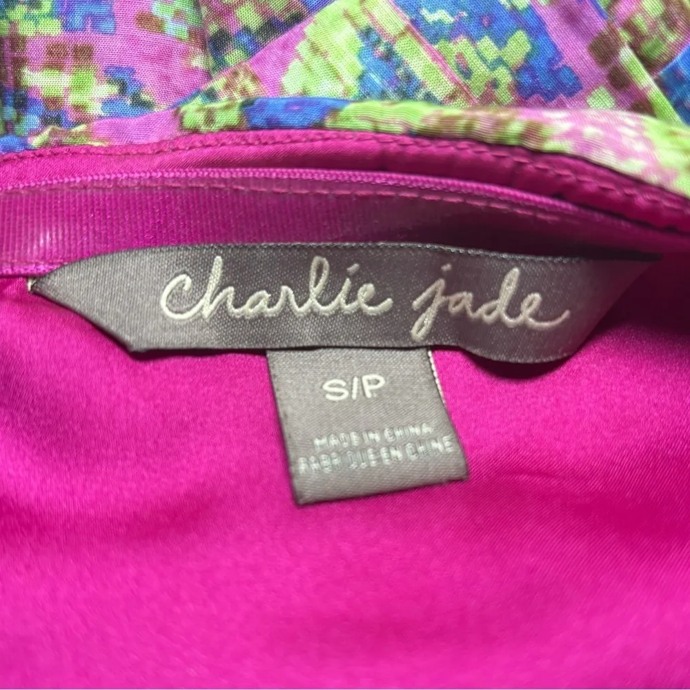 Charlie Jade‎ Anthropologie Small Ginger Dress Multicolored Silk Blend Pockets - Image 10