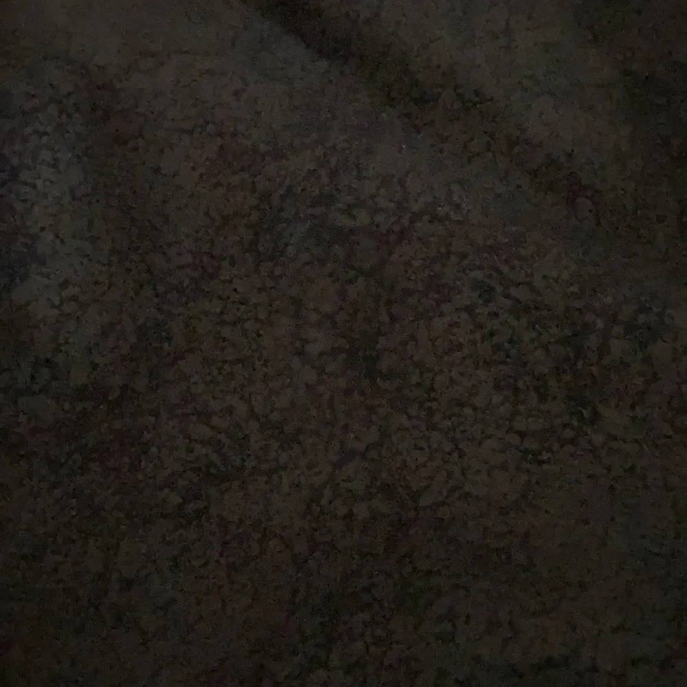 Splendid Black Leggings with Bottom Side Zipper - Image 5