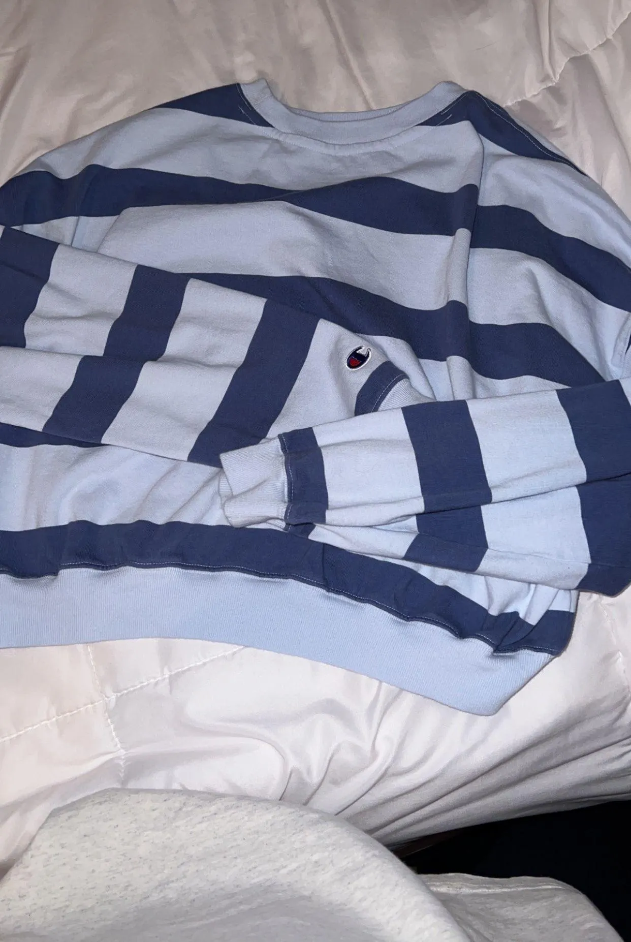 Champion Crewneck - Image 2