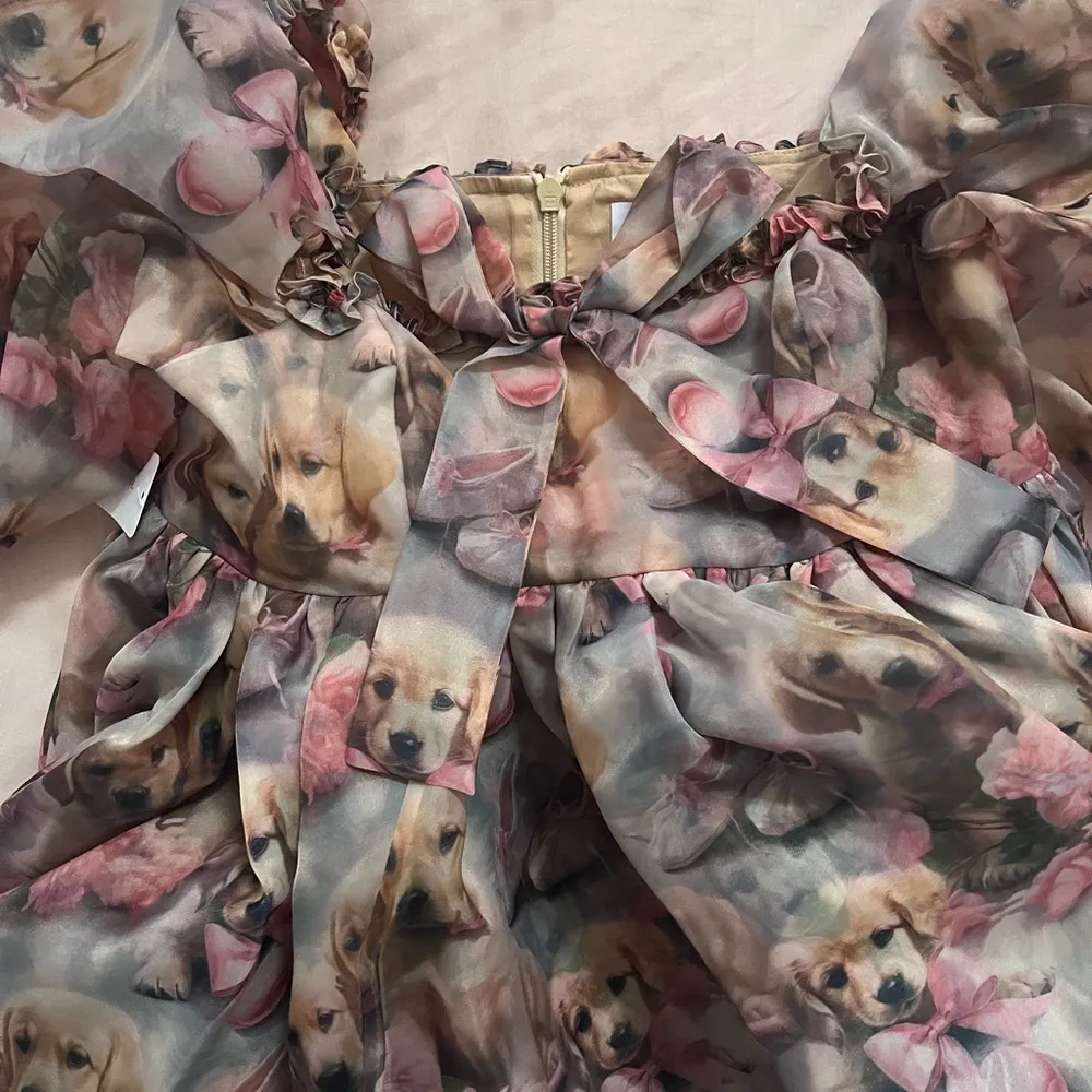 Selkie The Golden Paradise Mini Shabby Chic Dress Pink Size L - Image 3