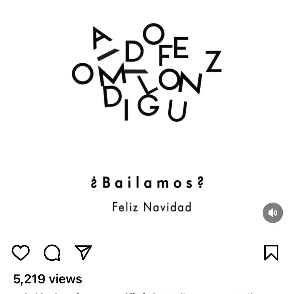 Designer skirt by Adolfo Dominguez denim print Gray - Image 5