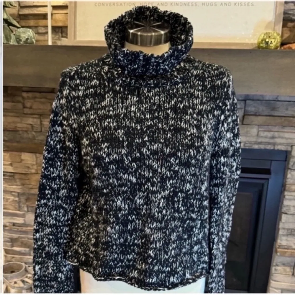 Eileen Fisher Black and White Turtleneck Sweater - Image 2