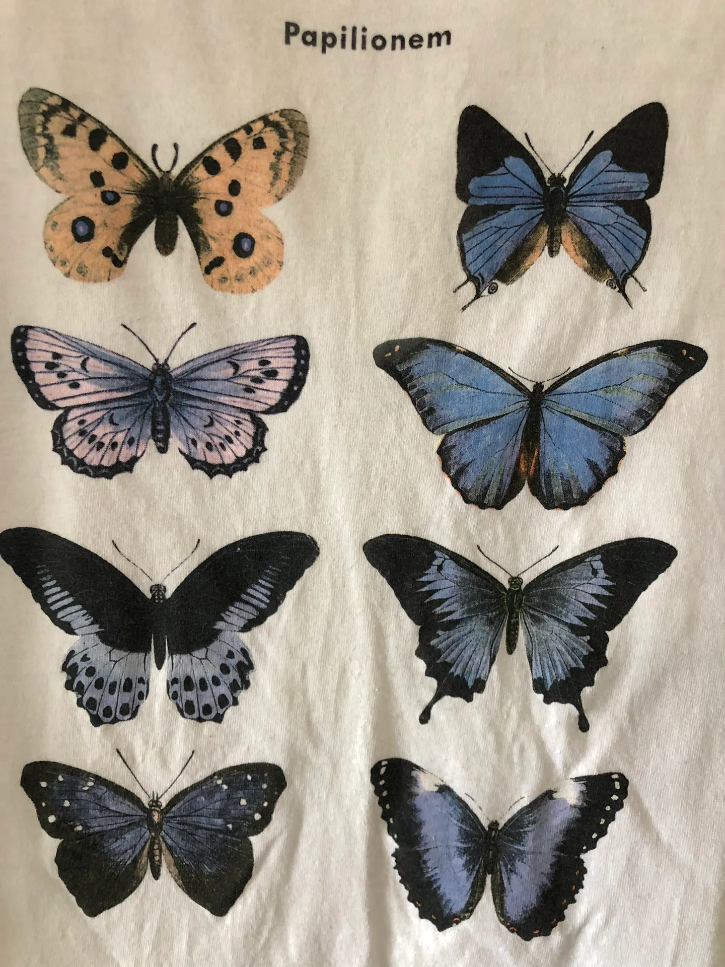 Urban Outfitters Butterfly Graphic T-shirt - Image 2