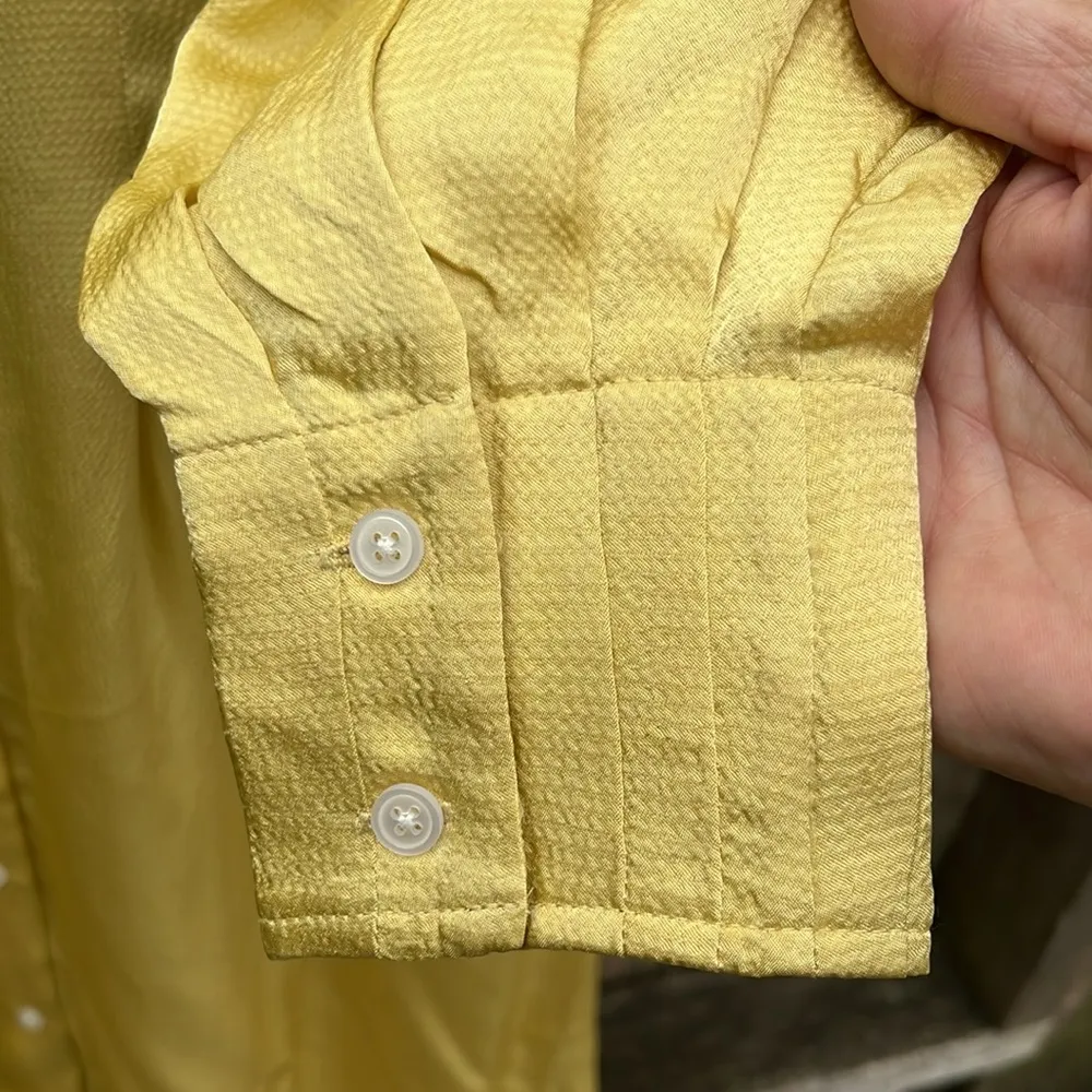 NWT Everlane Hammered Satin Shirt Dress Raffia Size 6 - Image 14