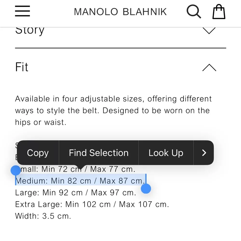 NWT MANOLO BLAHNIK gold Hangisi 35mm belt - Image 11