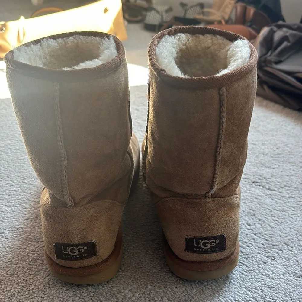 UGG  Classic short. Chestnut. Size 8 - Image 5