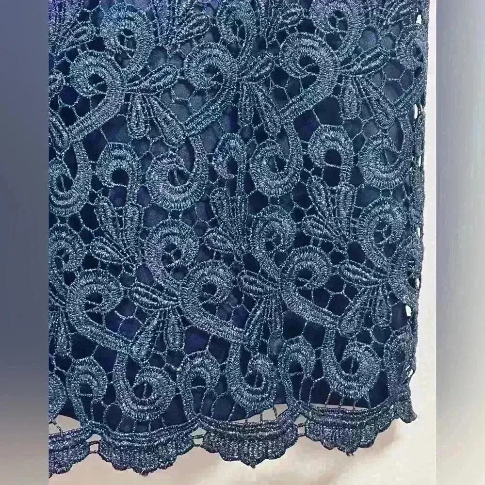 Adrianna Papell Navy Shimmer Embroidered Lace Short Formal Dress Size 4 - Image 10