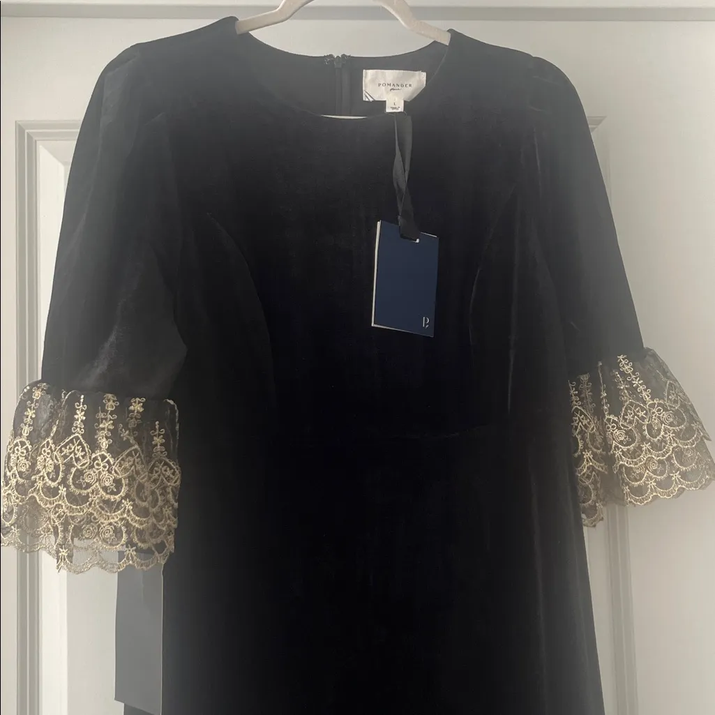 NWT Pomander Place Tuckernuck Velvet Maxi Lilith Dress Black Formal size large - Image 10