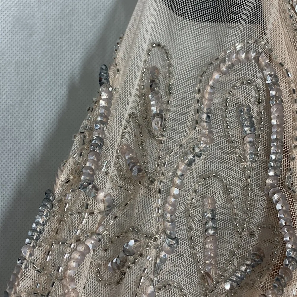 Pisarro Nights D1545 Embellished Mesh Gown Size 6P - Image 13