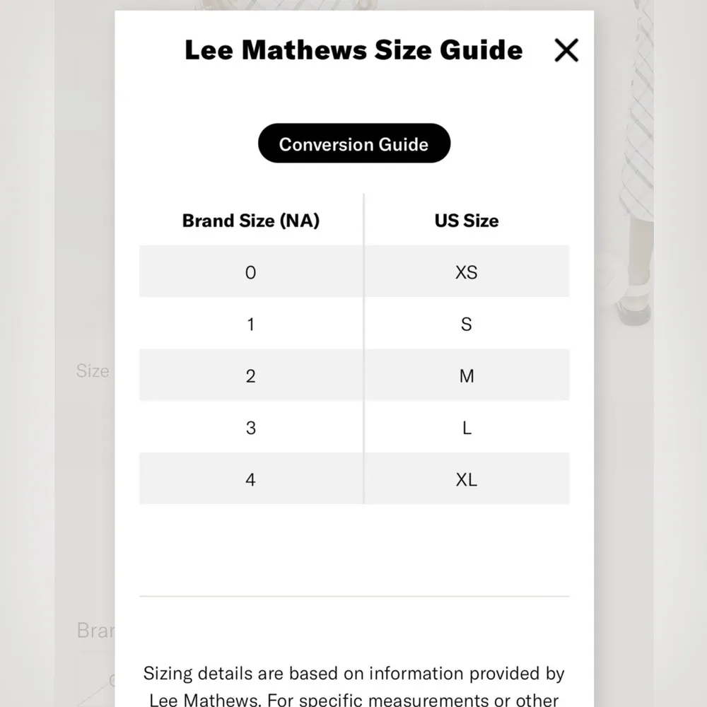 Mathews Wiley Cami Dress NWT in Blue Check (Sold Out Online) - Image 11