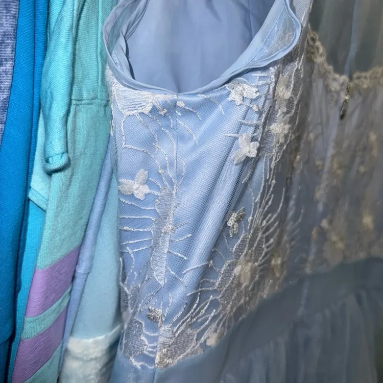 Disney parks Cinderella cosplay embroidered dress shop dress XL - Image 7