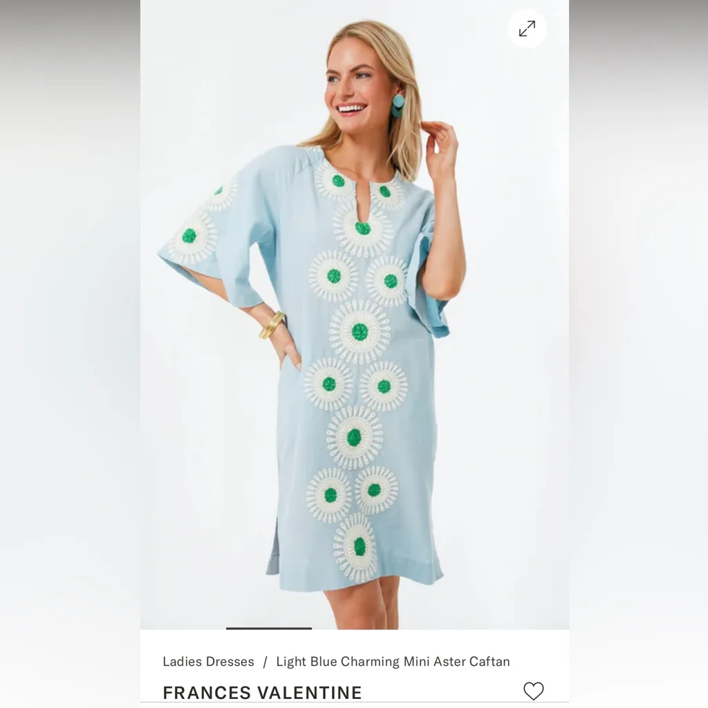 NWT•Tuckernuck X Frances Valentine•blue aster caftan•sz XS - Image 3