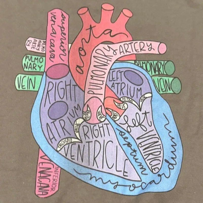 Anatomical Heart Sweatshirt Size L New without Tag - Image 2