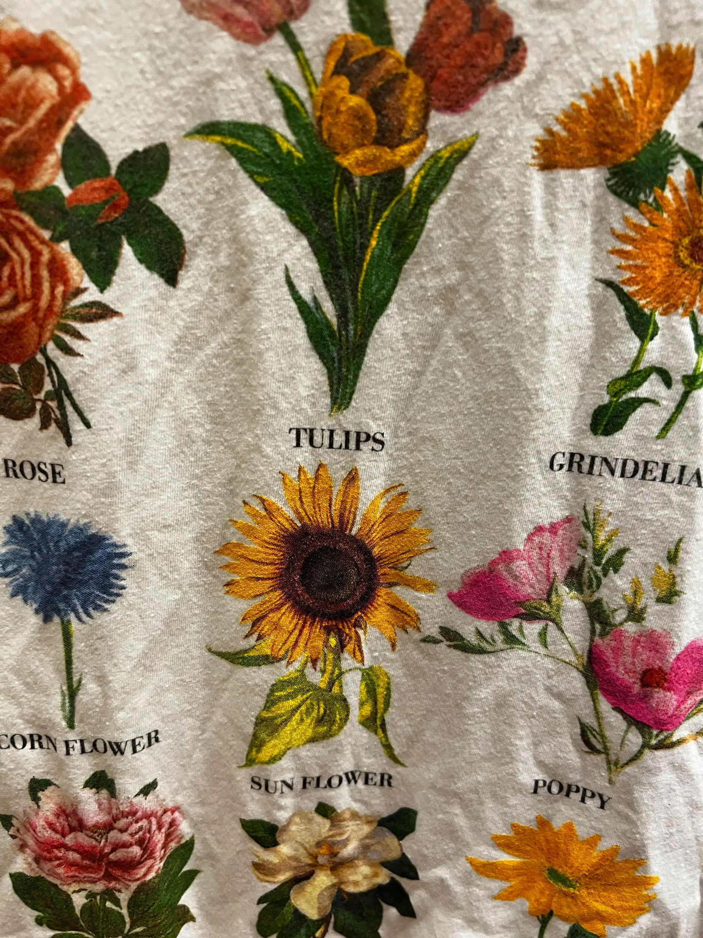 Fifth Sun Graphic Tee Shirt - Image 3